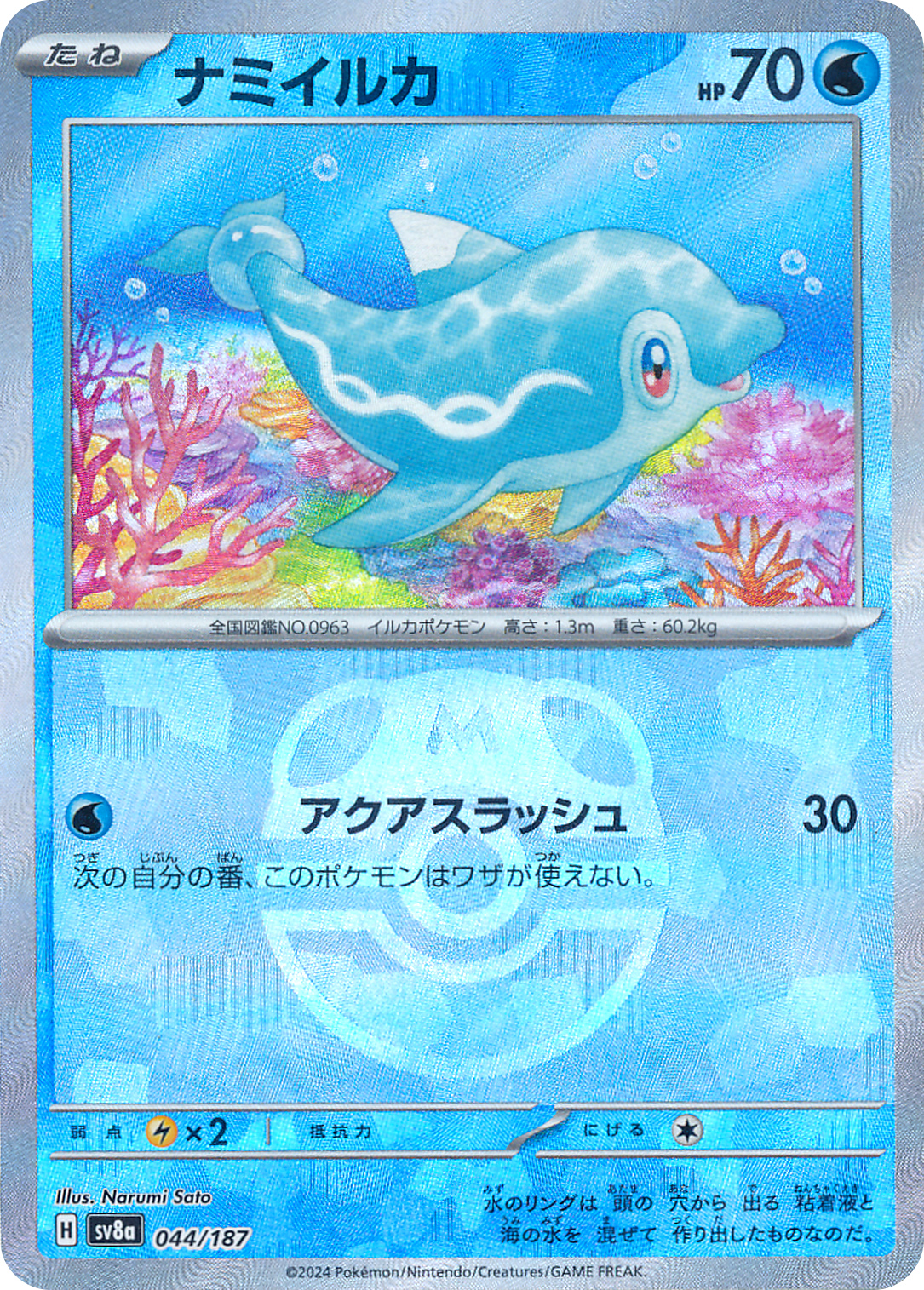 ナミイルカ