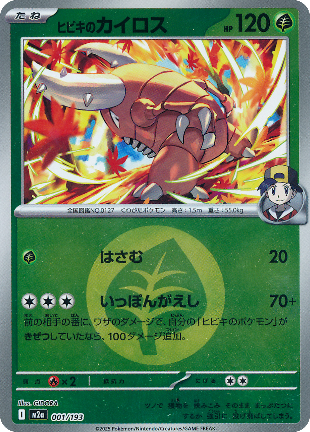 ヒビキのカイロス