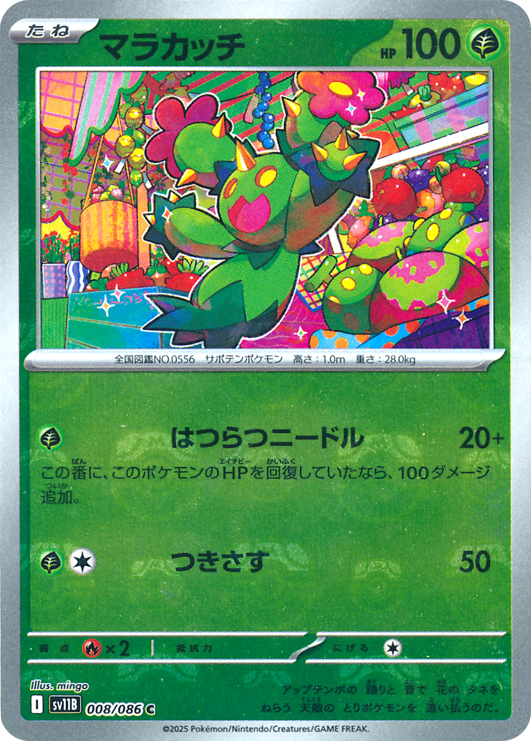 マラカッチ