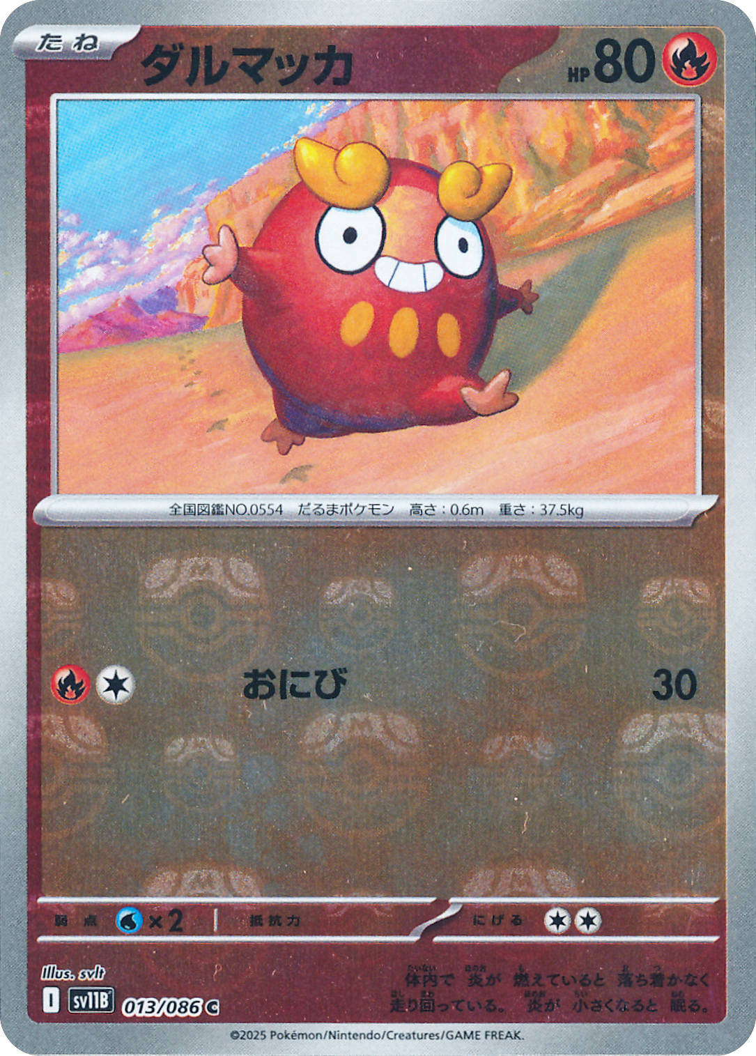 ダルマッカ