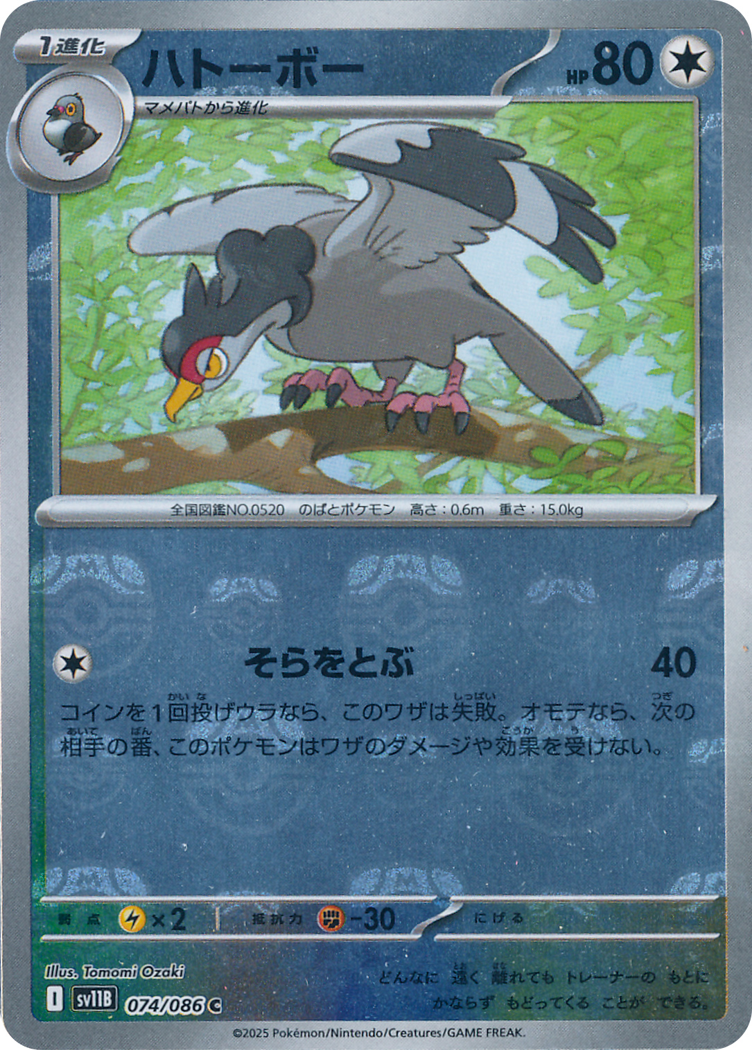 ハトーボー
