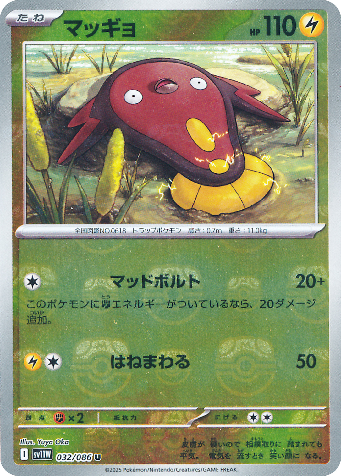 マッギョ