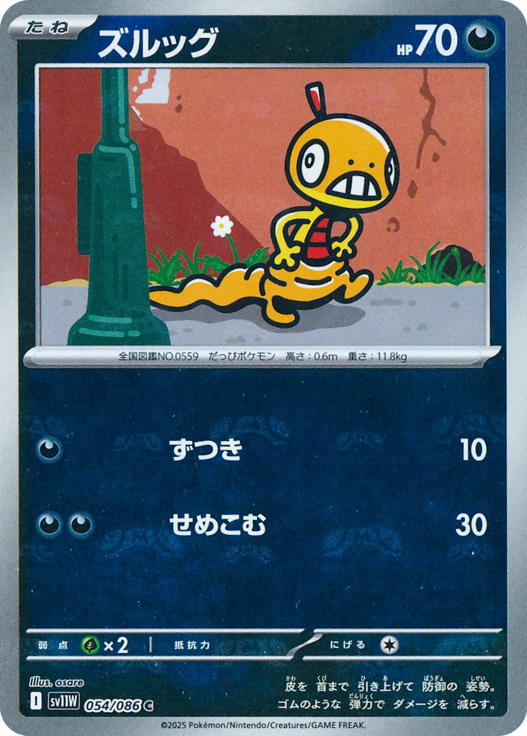 ズルッグ