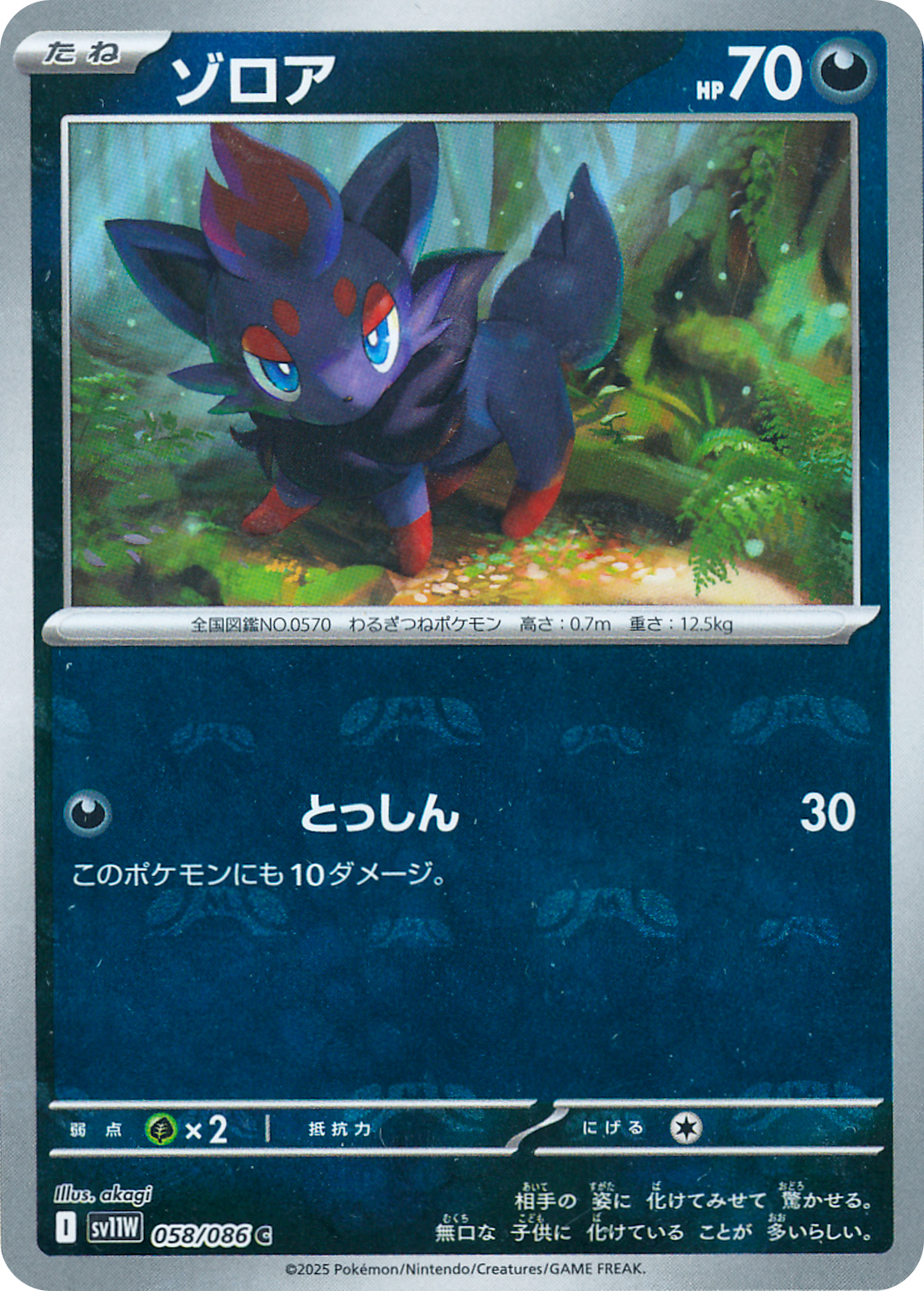 ゾロア