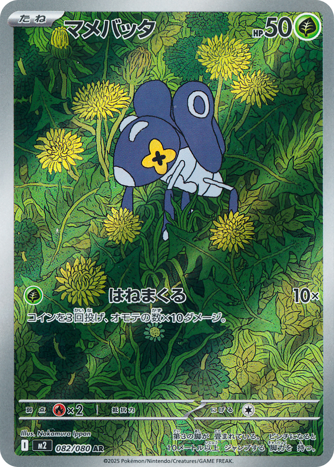 マメバッタ