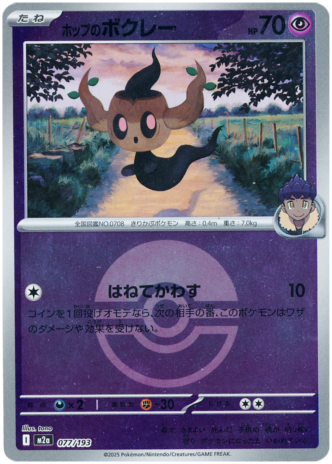 ホップのボクレー