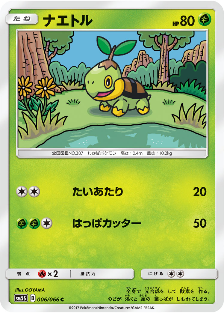 ナエトル